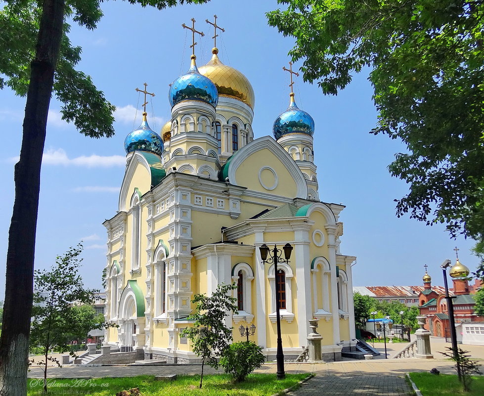 19 августа: Божественная литургия в Покровском кафедральном соборе г. Владивостока